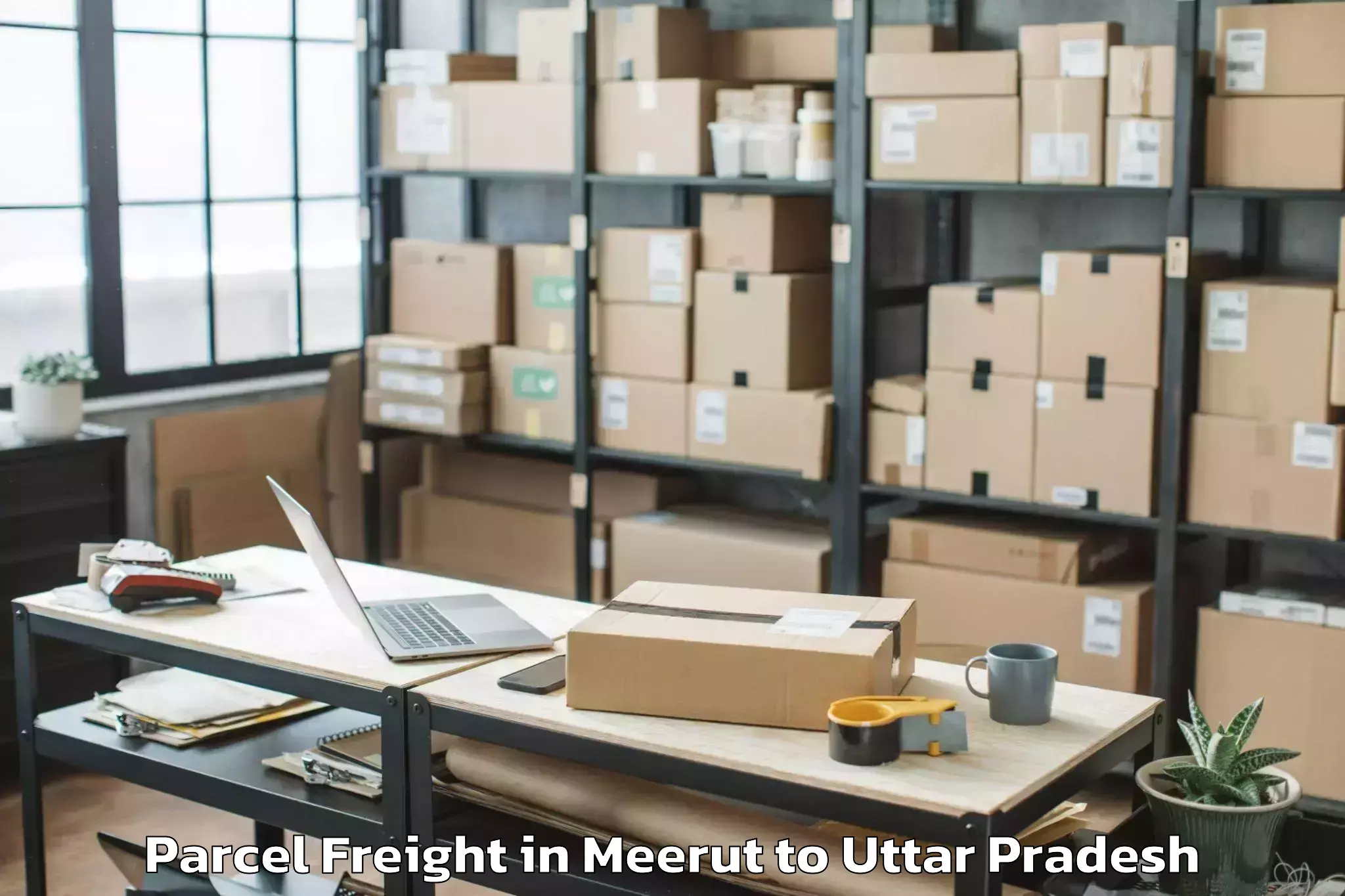 Comprehensive Meerut to Auraiya Parcel Freight